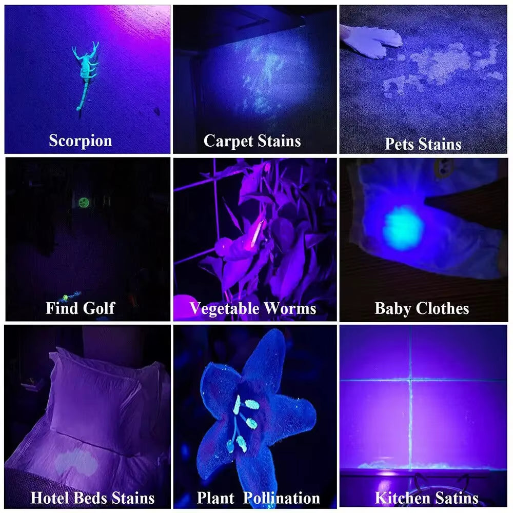 395Nm UV Flashlight Blacklight Zoomable USB Rechargeable UV Light Ultraviolet Flashlight for Pet Urine Detector Resin Curing